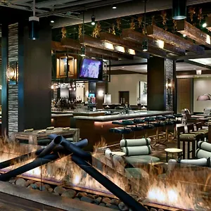 Renaissance Downtown Hotel